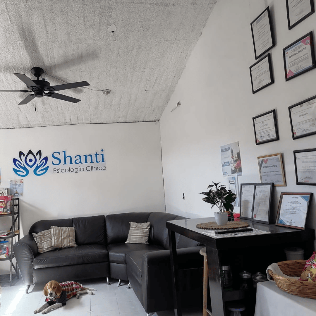 Shanti Clínica Psicológica